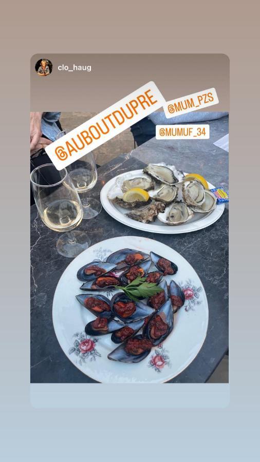 Au Bout Du Pre Hotel Pezenas Bagian luar foto
